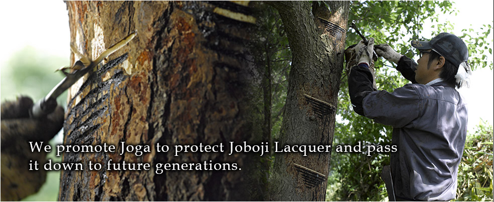 We promote Joga to protect Joboji Lacquer and pass it down to future generations.